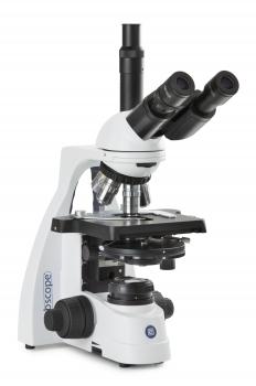 BS.1153-PLPHi Euromex bScope trinokulares Phasenkontrast Labor Mikroskop