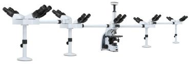 IS.1156-PLi9 iSope trinokulares Mikroskop (Multihead systems) für 9 Personen
